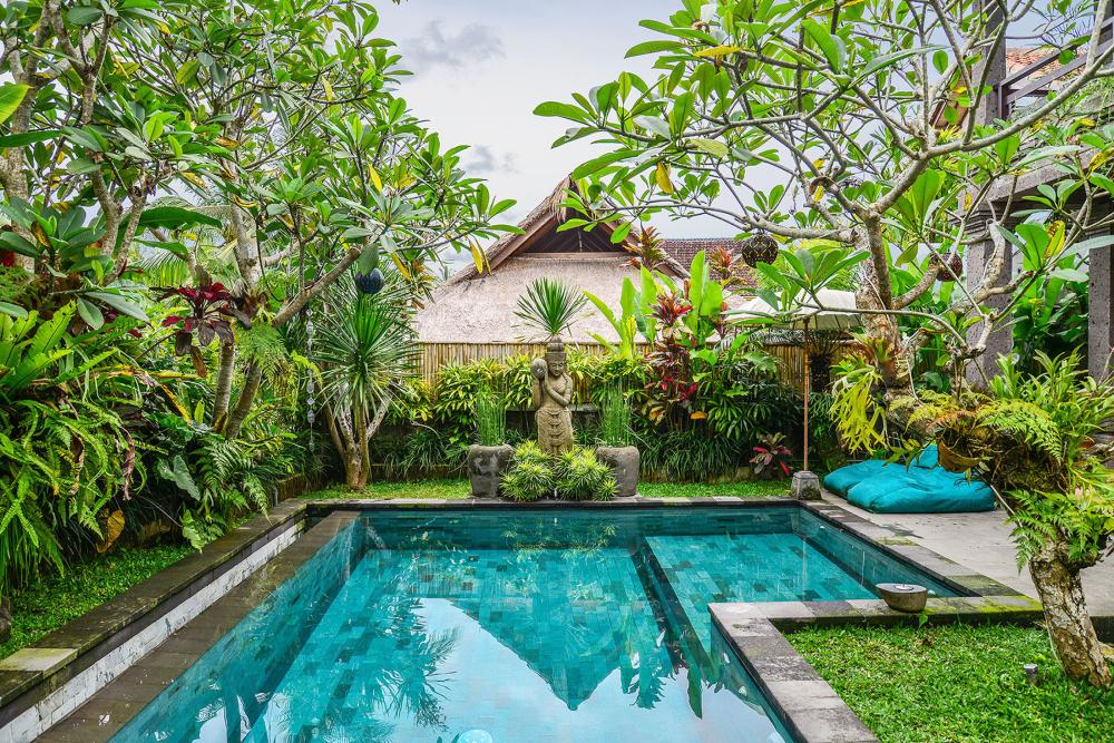 piscine tropical